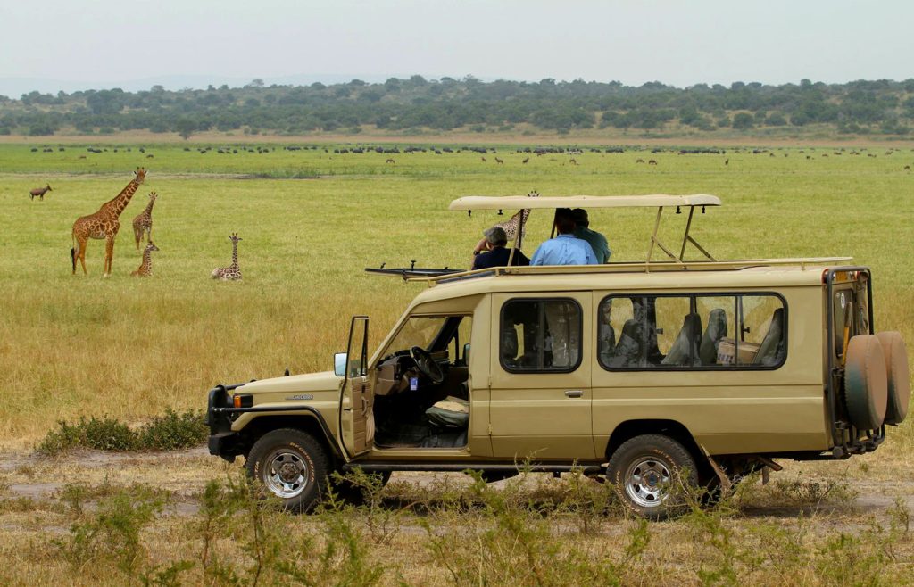 12-days-uganda-rwanda-discovery-tour