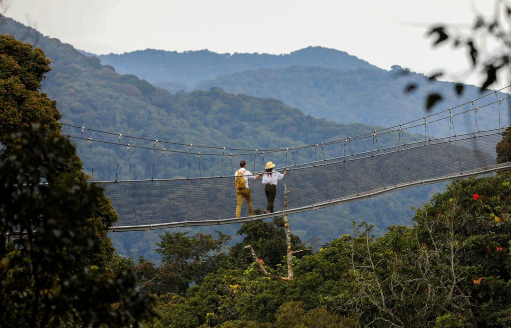 2-days-nyungwe-forest-tour