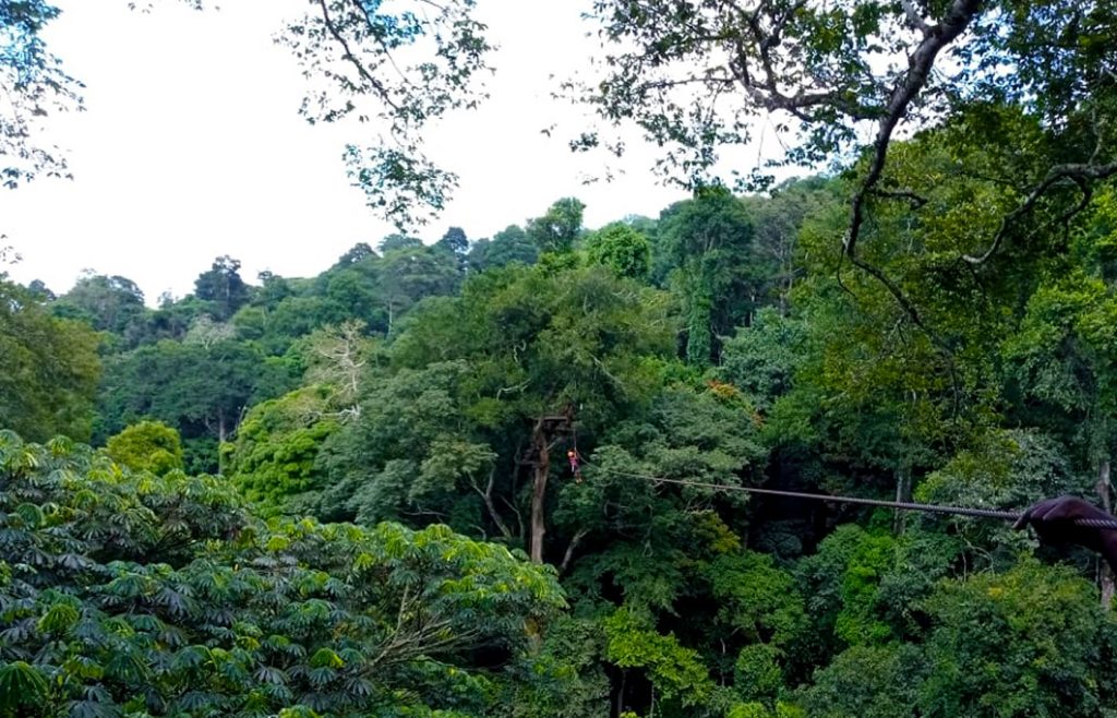 mabira-forest
