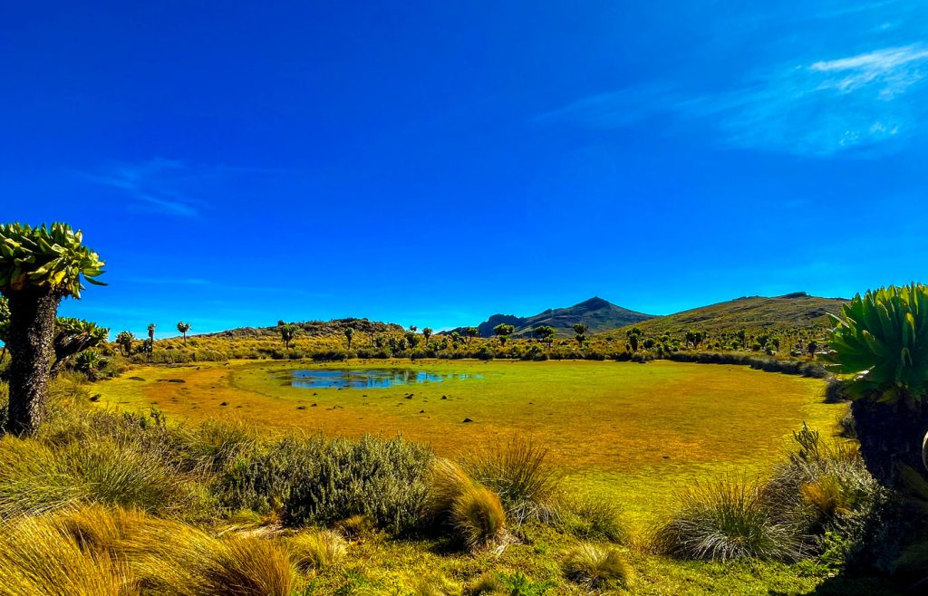 mountain-elgon-national-park